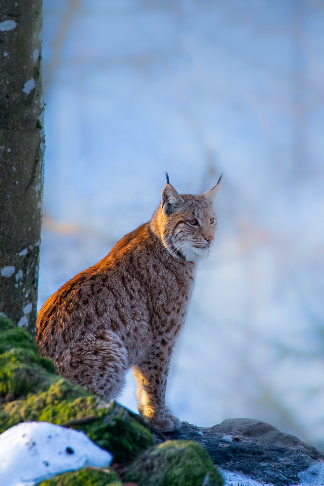 Platz 6 Conny Kleiner